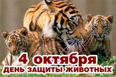    4 октября отмечается Всемирный день защиты животных  - фото 1