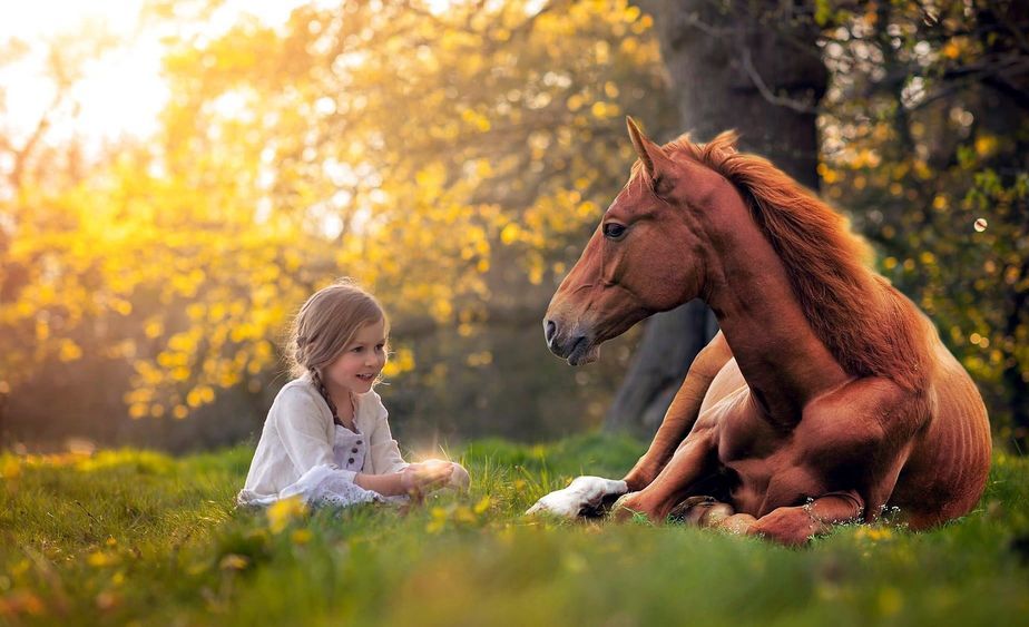 Katerina Plotnikova Photography Animals wild, Animals, Animal companions