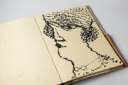 Книга рисунков В. Мирзоева