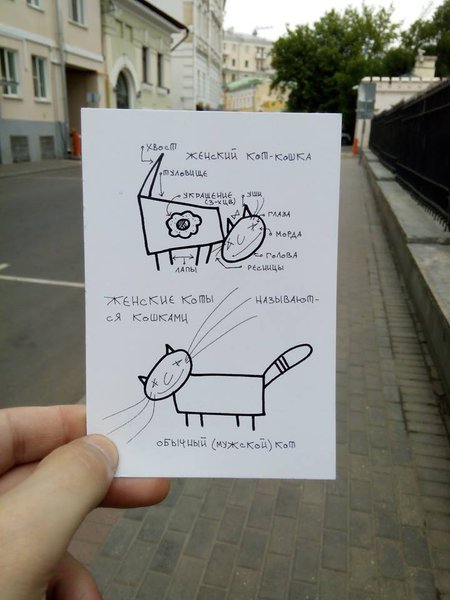 Набор открыток-коткрыток от В. Перельмана