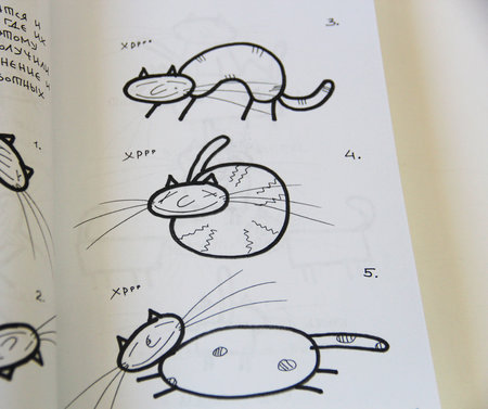 Книга Виктора Перельмана «Коты. Инструкции»