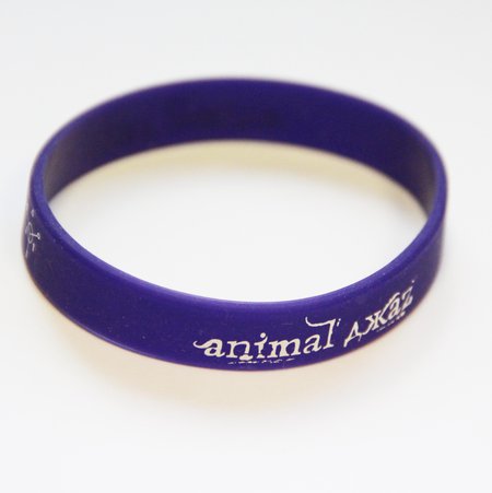 Animal Джаz: браслет «Хранитель весны» (фиолетовый)